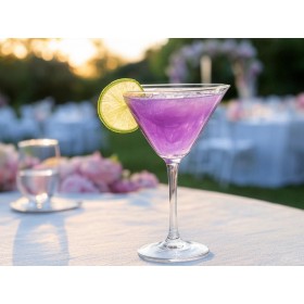 Faillettaz Martini